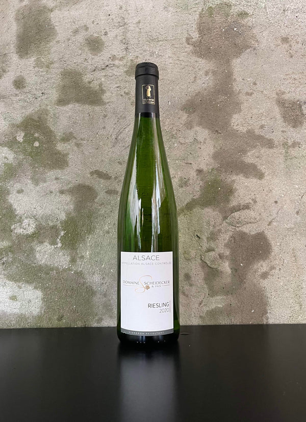 Riesling 2020 (Demi-sec) - Halvtør hvidvin fra Scheidecker & Fils, Alsace