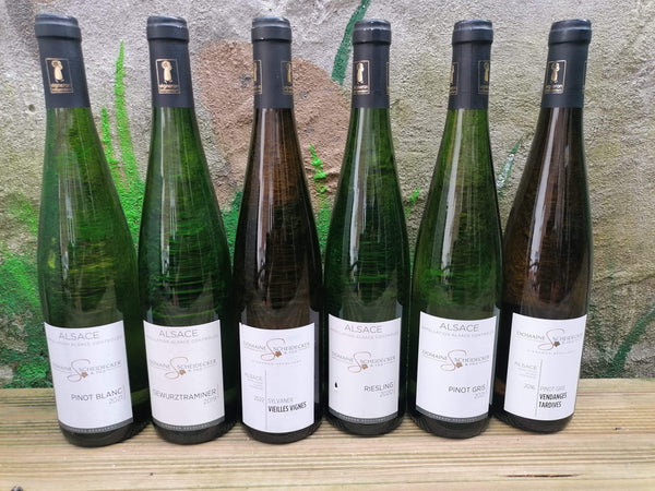 Alsace-smagekasse med 6 flasker lækker hvidvin fra Domain Scheidecker