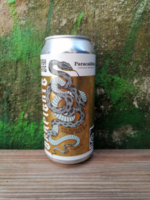 Mash Gang & Paracaidista Serpiente  0,5%  44cl  Alkoholfri IPA - BeerShoppen