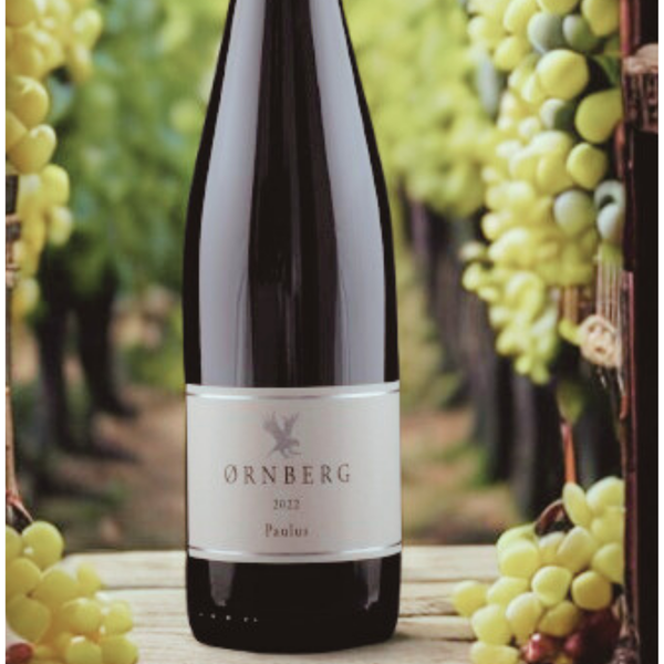 Paulus 2022 fra Ørnberg Vin - Fadlagret dansk hvidvin på Solaris